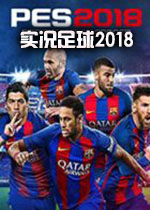 ʵ2018 ˵